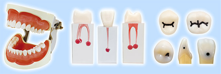 当院の研修プログラム