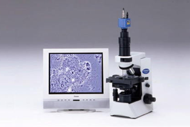 最新の薬で治す