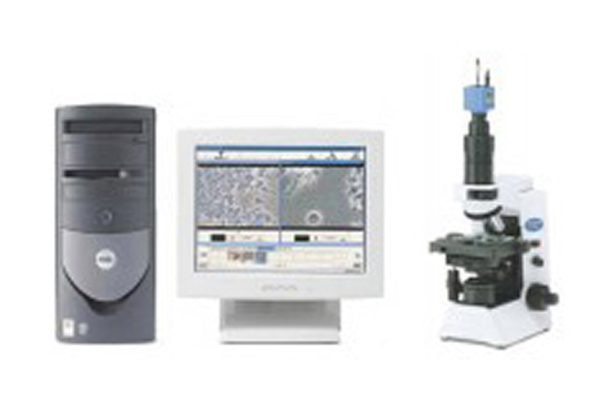 具体的な治療内容